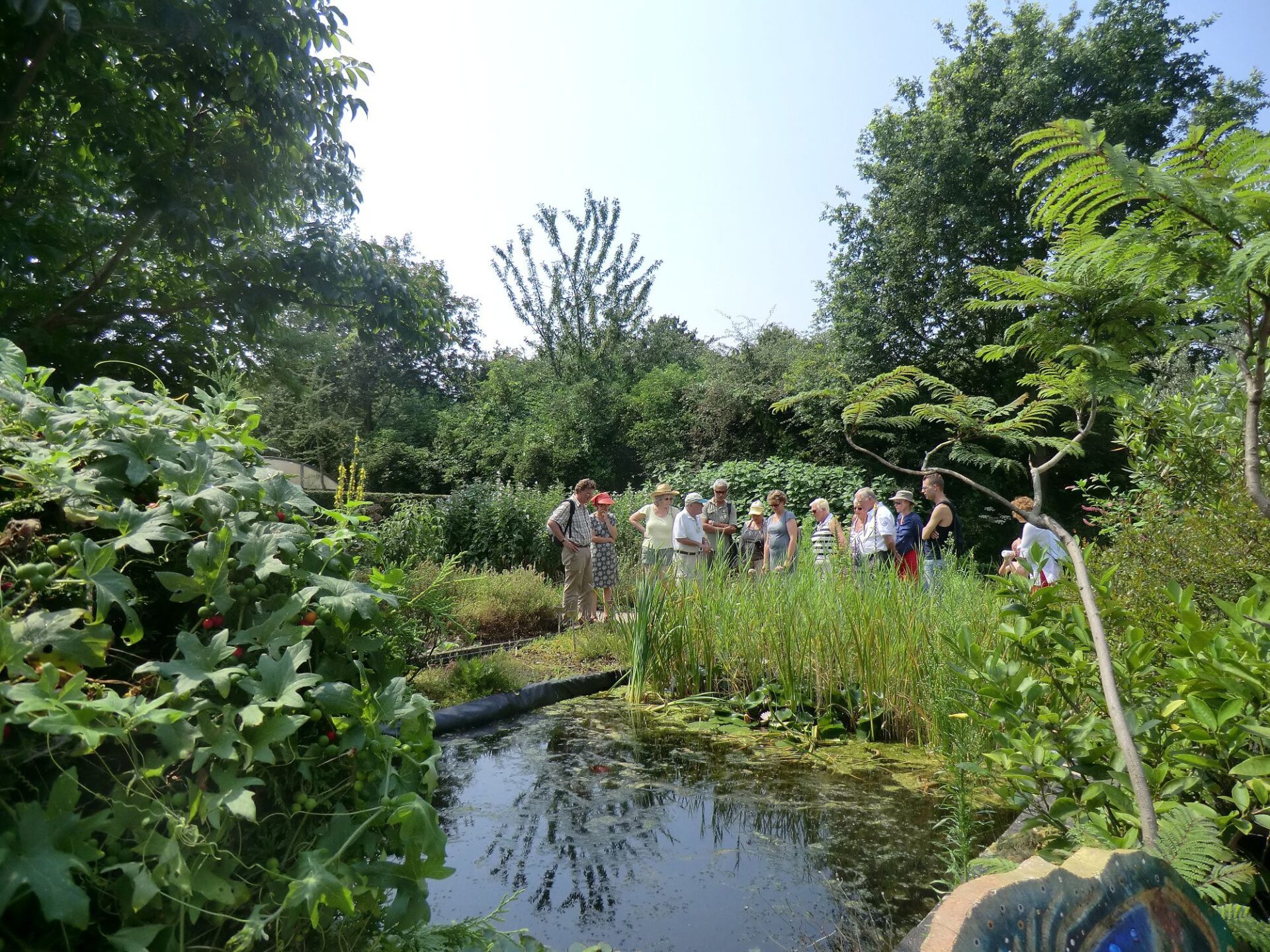 Officiële opening Hortus Alkmaar
