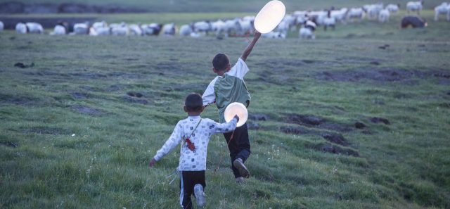 Twee online premières bij Filmhuis Alkmaar