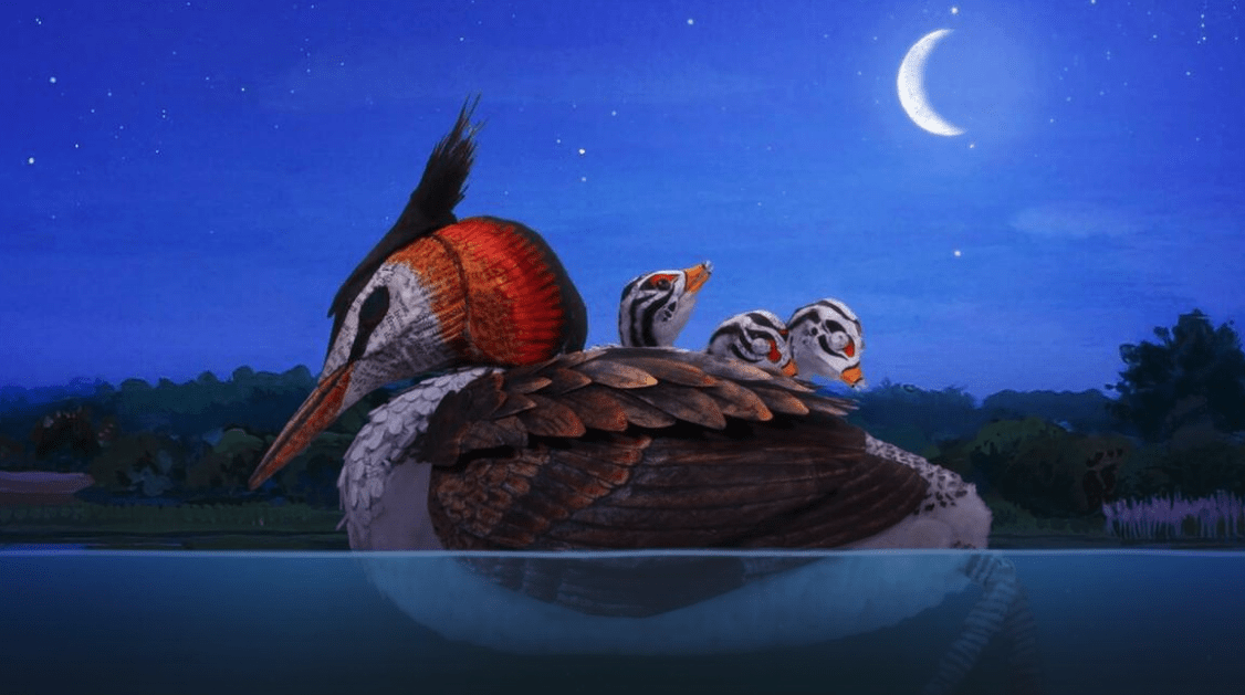 Jaaa, popcorn! Filmhuis Alkmaar opent 5 juni