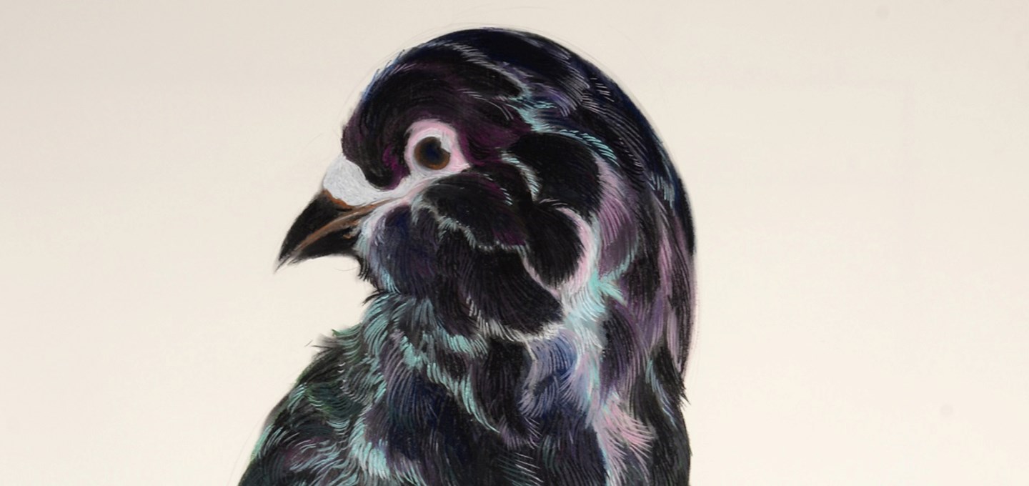 Tentoonstelling in de Grote Kerk van Roos Holleman