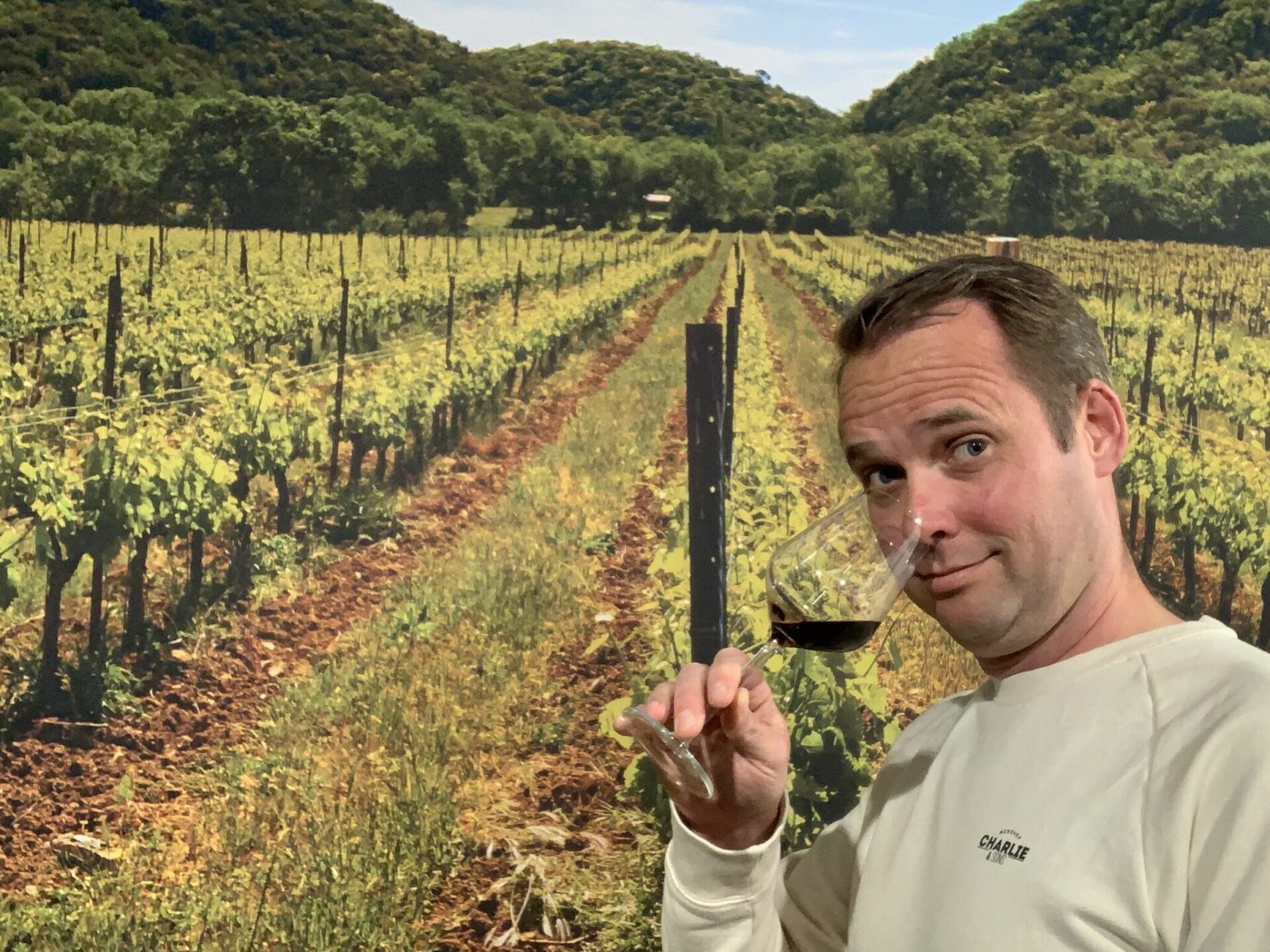 Ik ben op zoek naar een lekker wijntje…