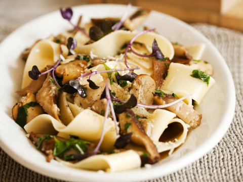 Pappardelle met paddenstoelen
