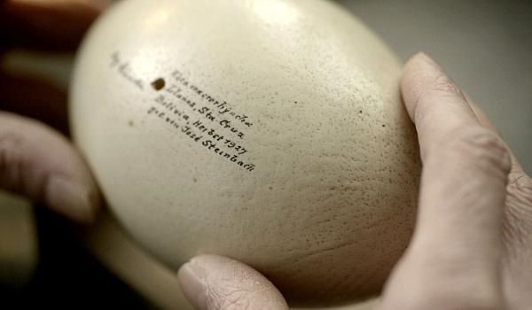 The Best of IDFA on Tour