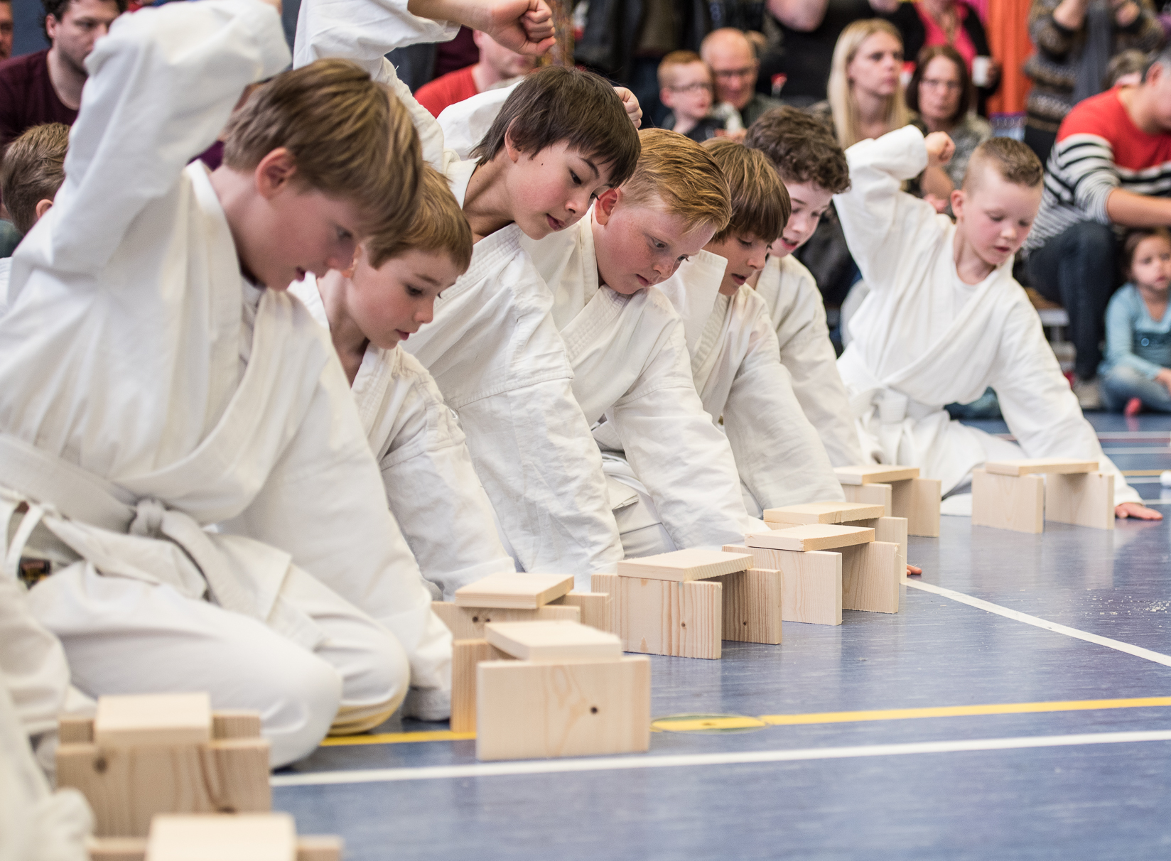 Karate voor Oekraïne