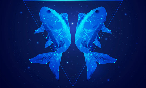 Sterrenbeeld van de week