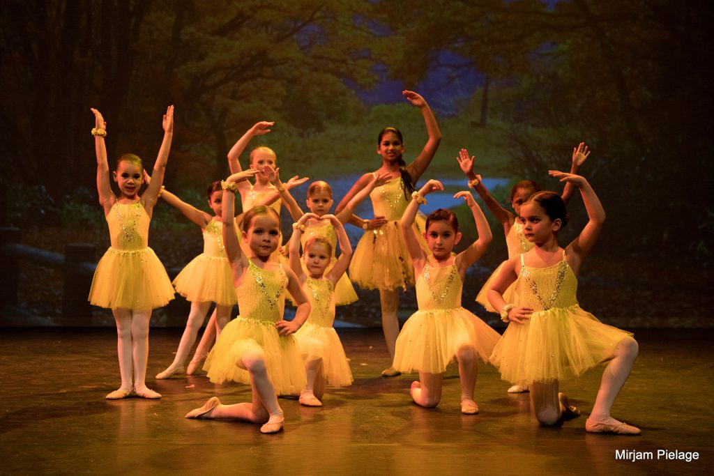 Dansstudio Dentro presenteert “WE ARE BACK”