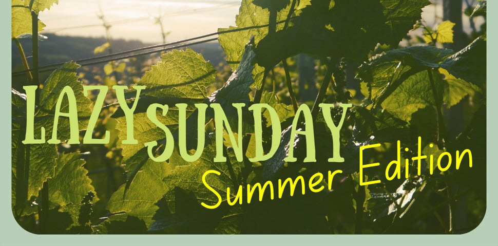 ‘Lazy Sunday’ proeverij bij WIJN. Alkmaar