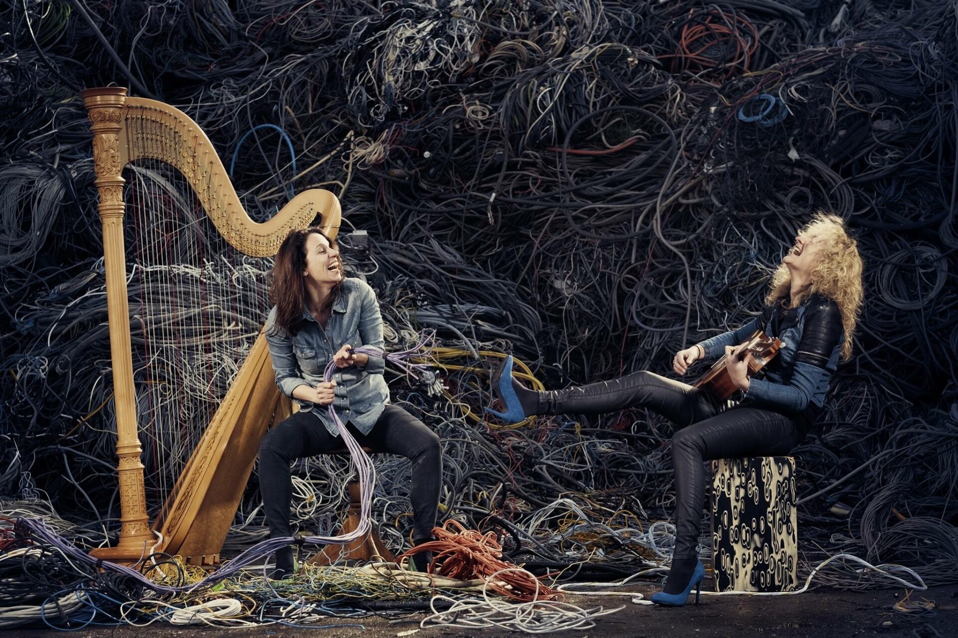 Podium onder de Boom Festival