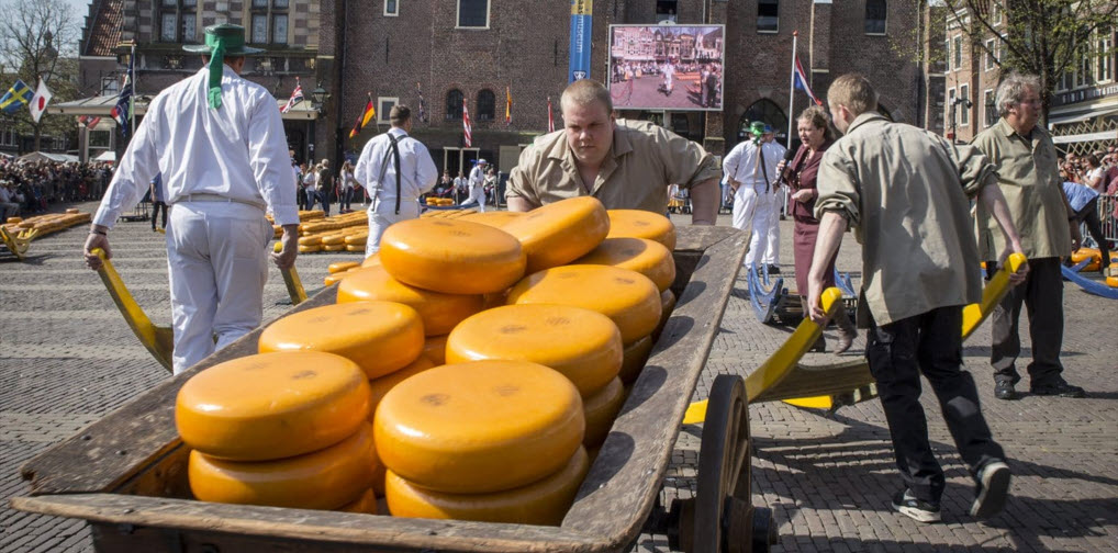 Kaasmarkt in teken van houtbouwproject Koelmalaan