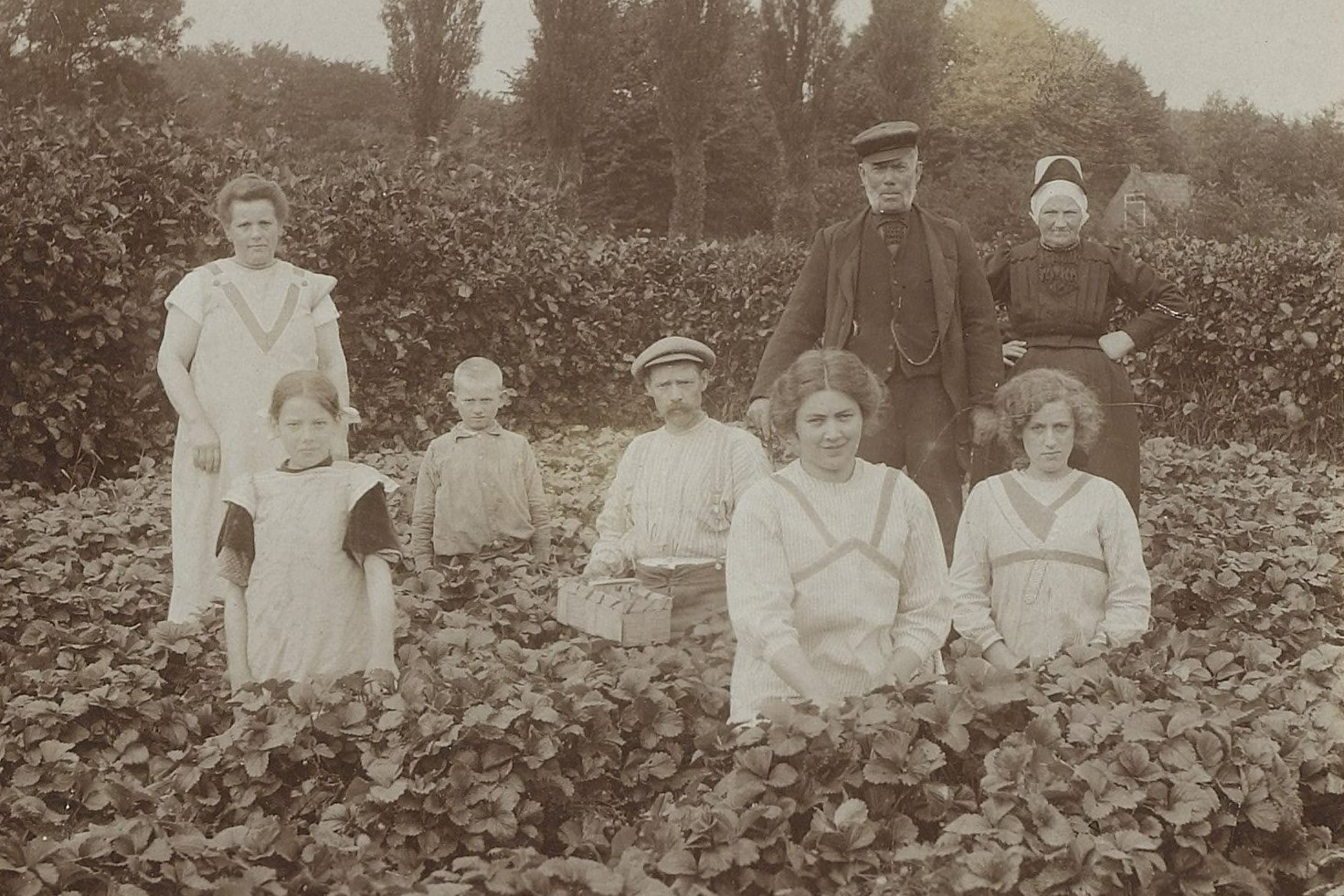 Nieuwe cursussen Regionaal Archief van start