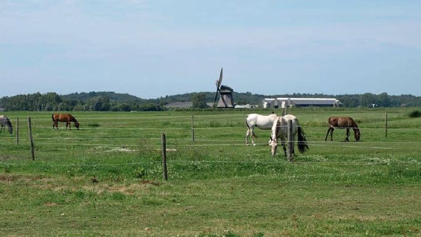 Landschapsdag Weidse Polders