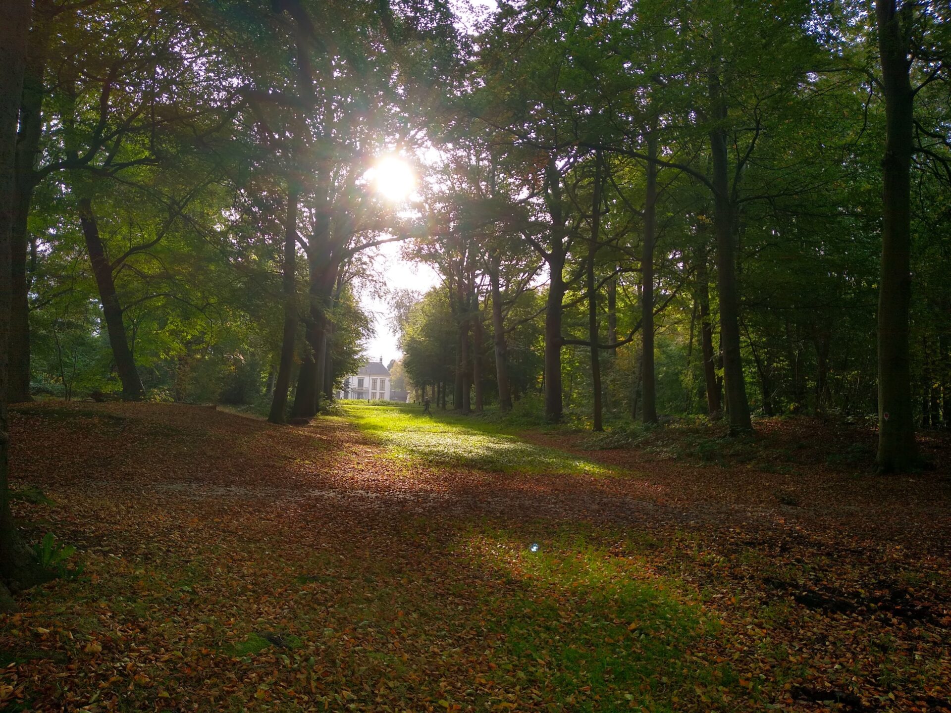Herfstwandeling Heiloöer bos