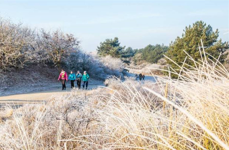 Egmond Wandel Marathon 2023