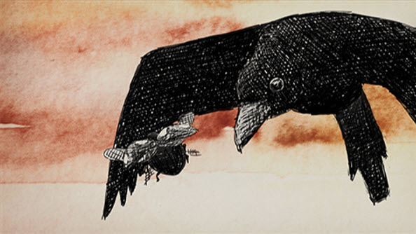 Animatiefilmmaker Sophie Olga de Jong