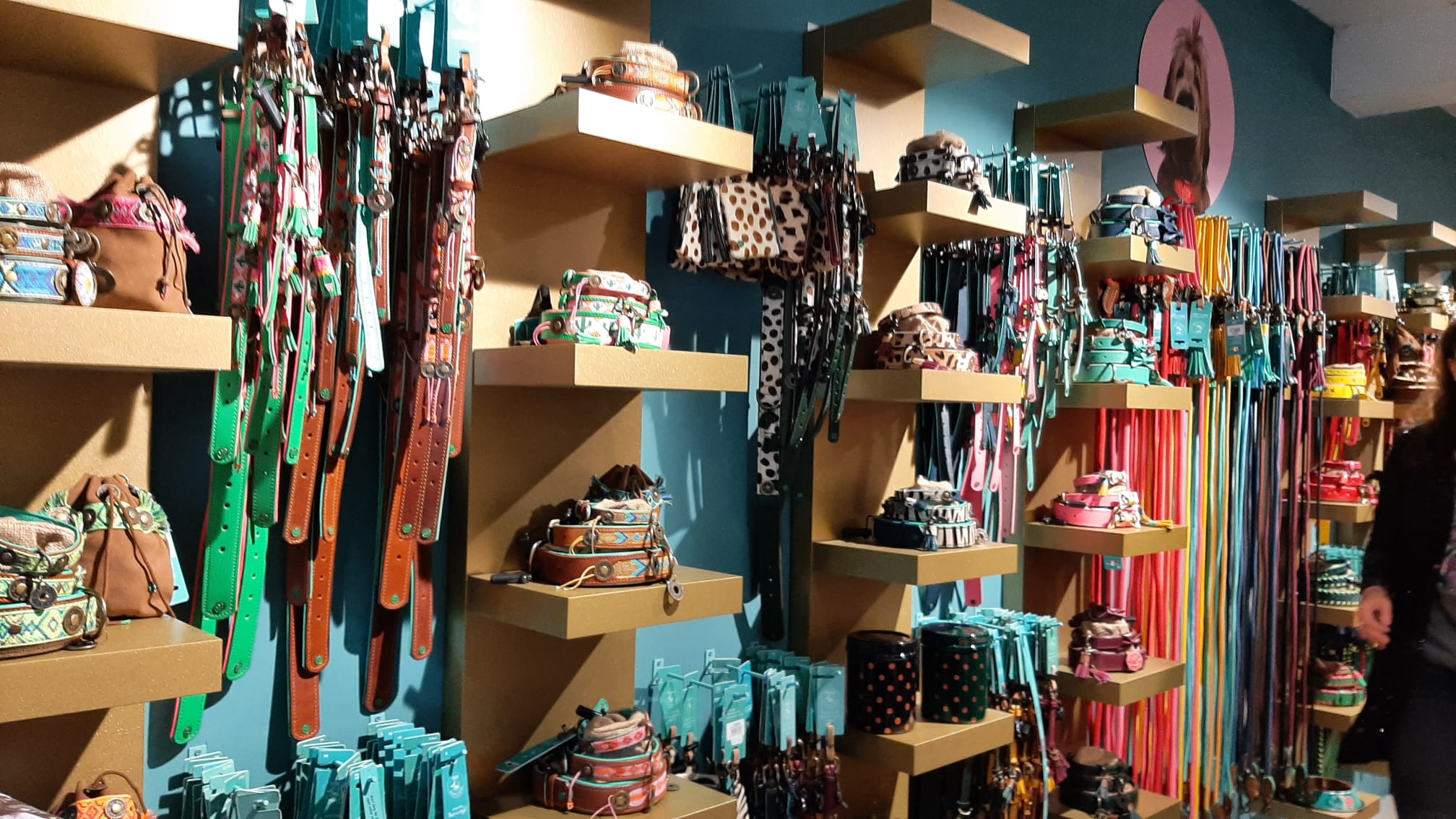 Dog with a Mission opent eerste winkel