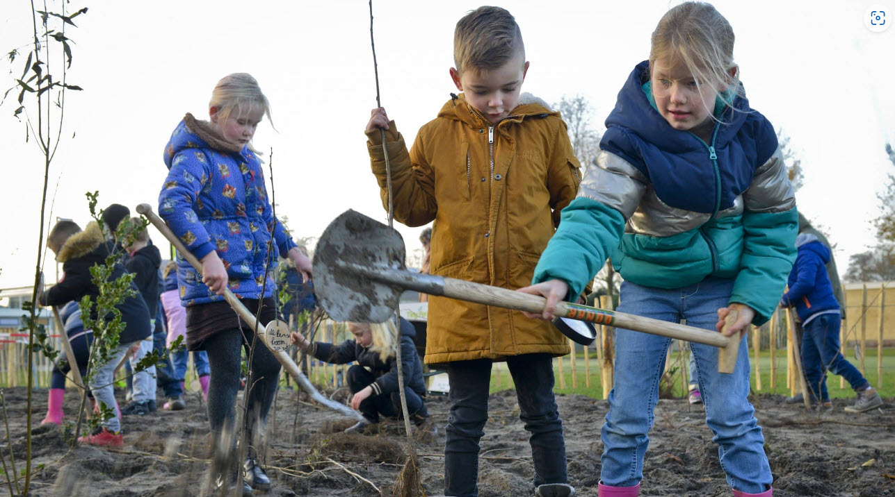 Vroonermeer-Noord krijgt een Tiny Forest
