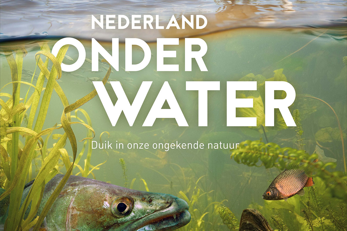 PvdD benadrukt het belang van water in de kop van Noord-Holland