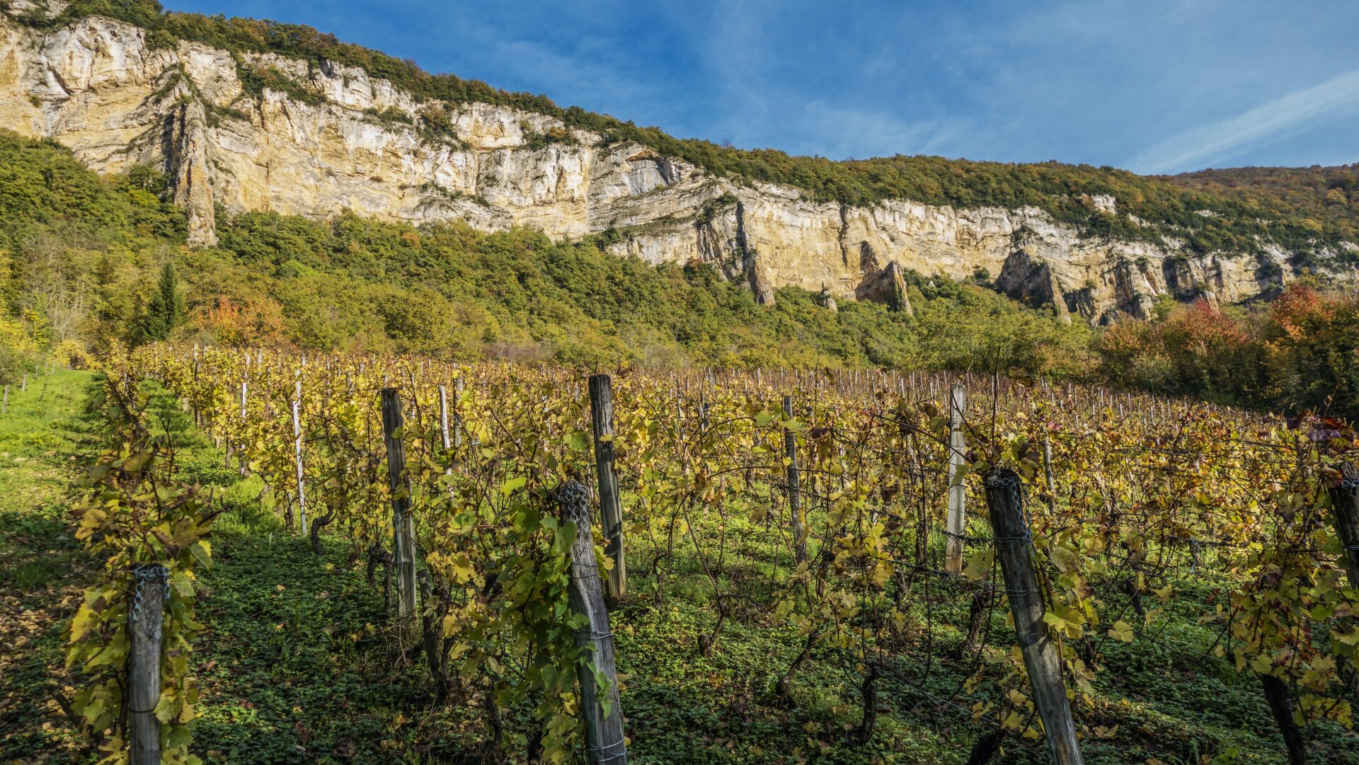Nieuwe trend: Natuurwijn