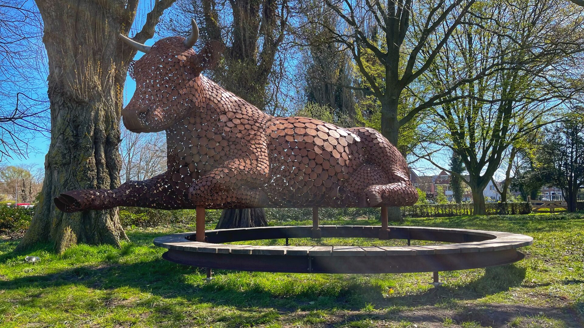 “Wat doet die koe daar in het Victoriepark?”