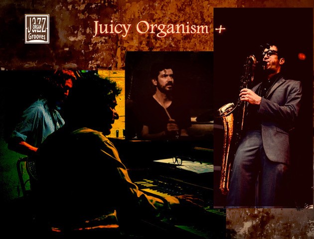 Juicy Organism+