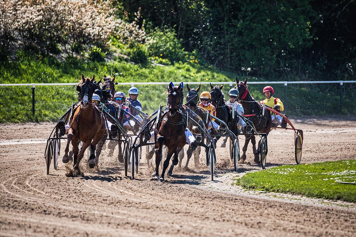 Paasmaandag tien draverijen in de Alkmaar ZEturf Arena!
