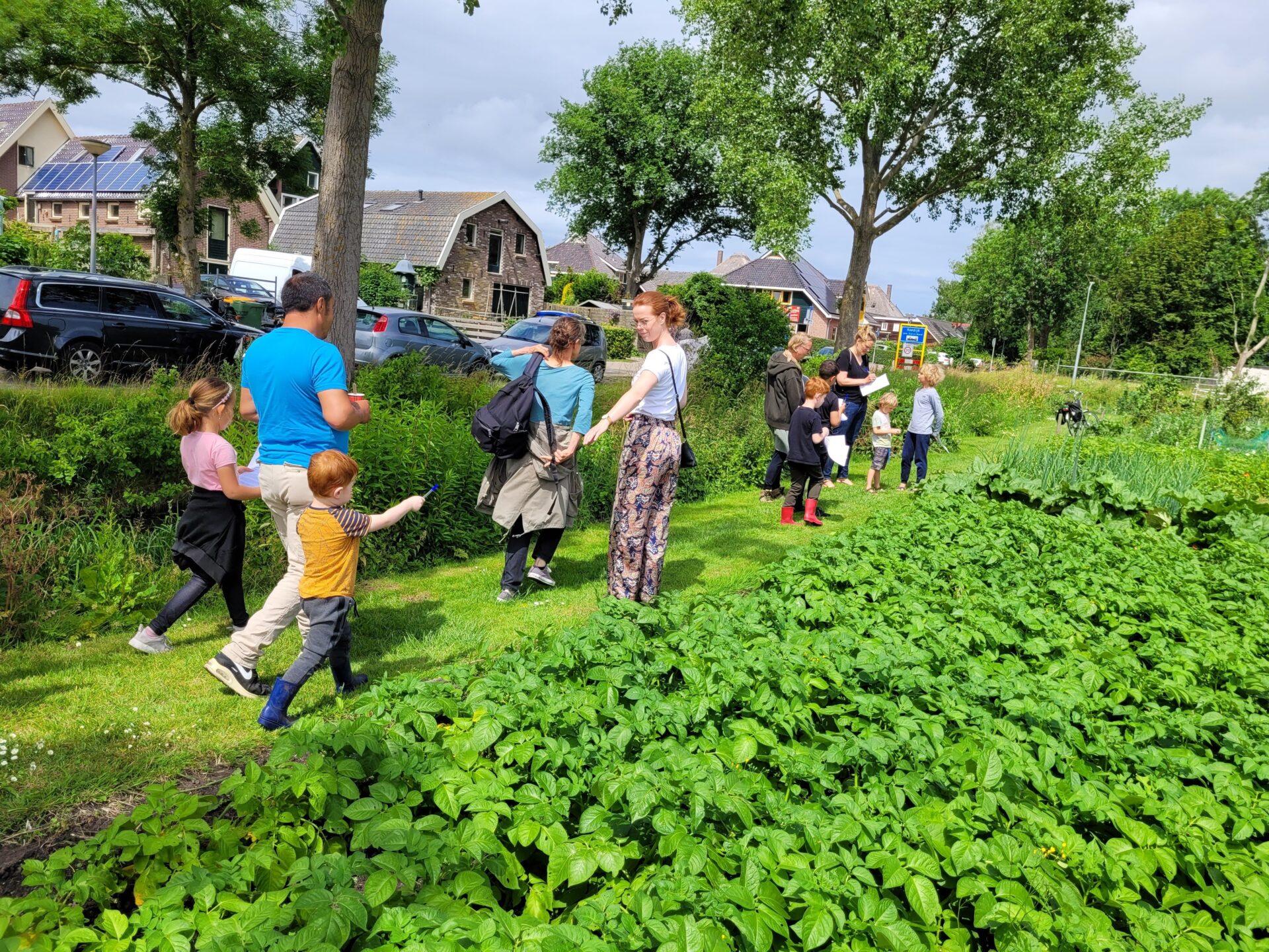 Altijd al zelf gezonde (en lekkere) groente en fruit willen verbouwen?