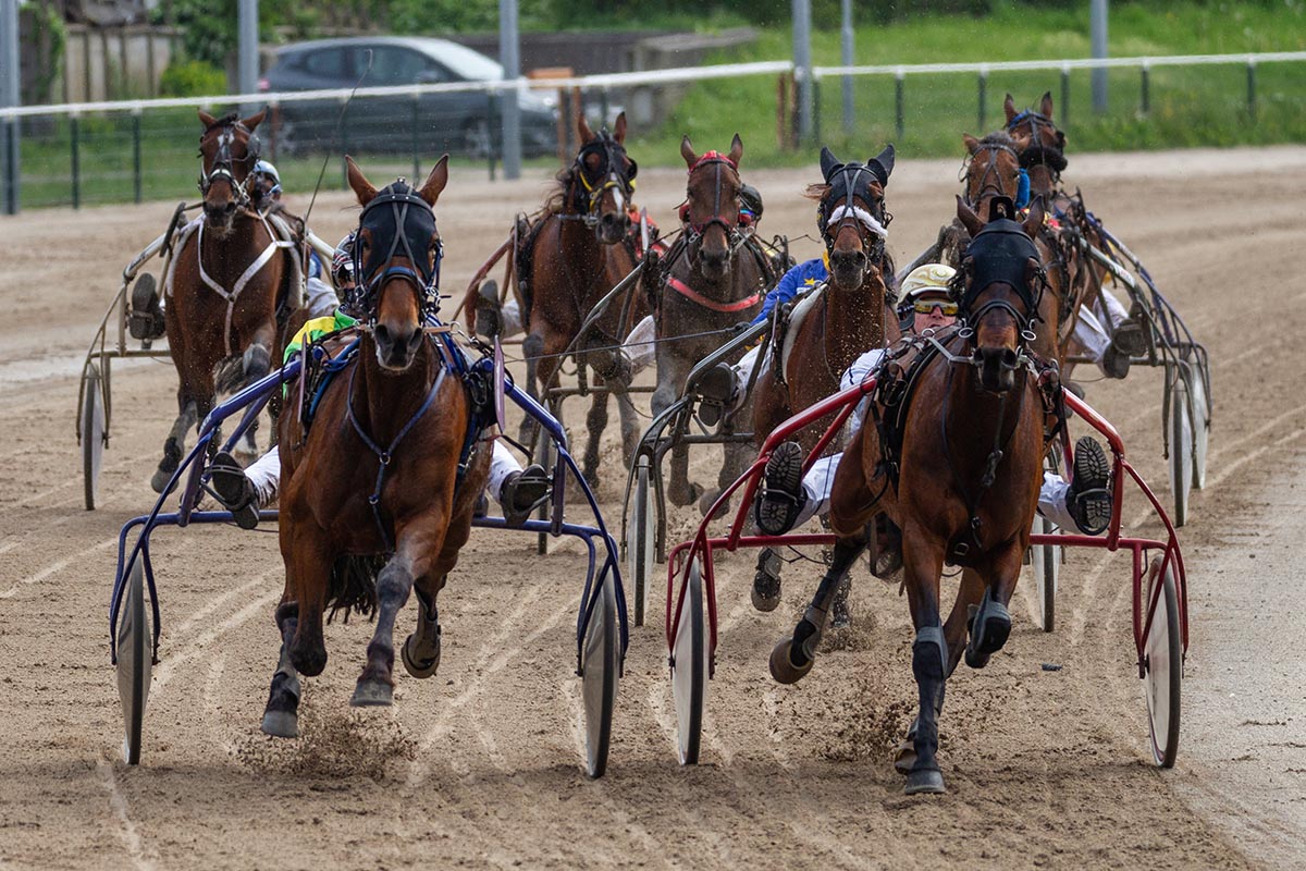Spectaculaire draverijen in de Alkmaar ZEturf Arena