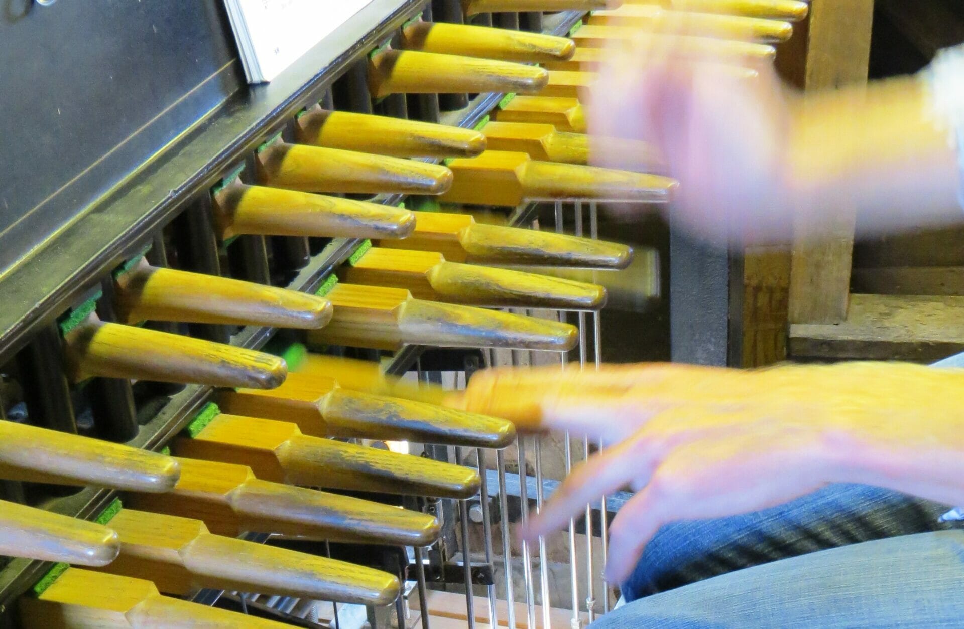 Alkmaars Historisch Café: Ontzetsuite voor een vrij Alkmaar