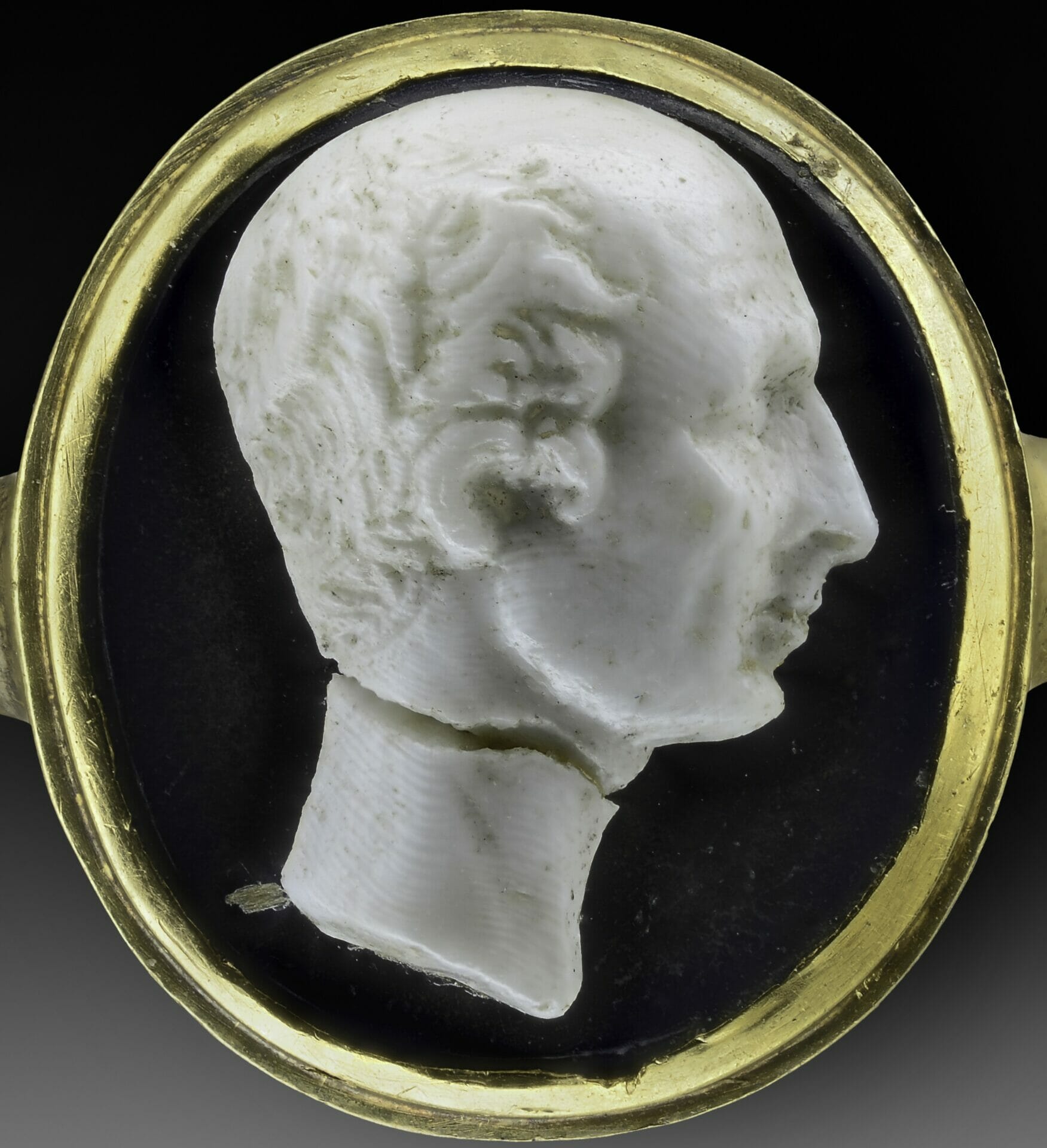 Nieuw leven in de forten, de Stelling van Amsterdam van 1874 tot nu