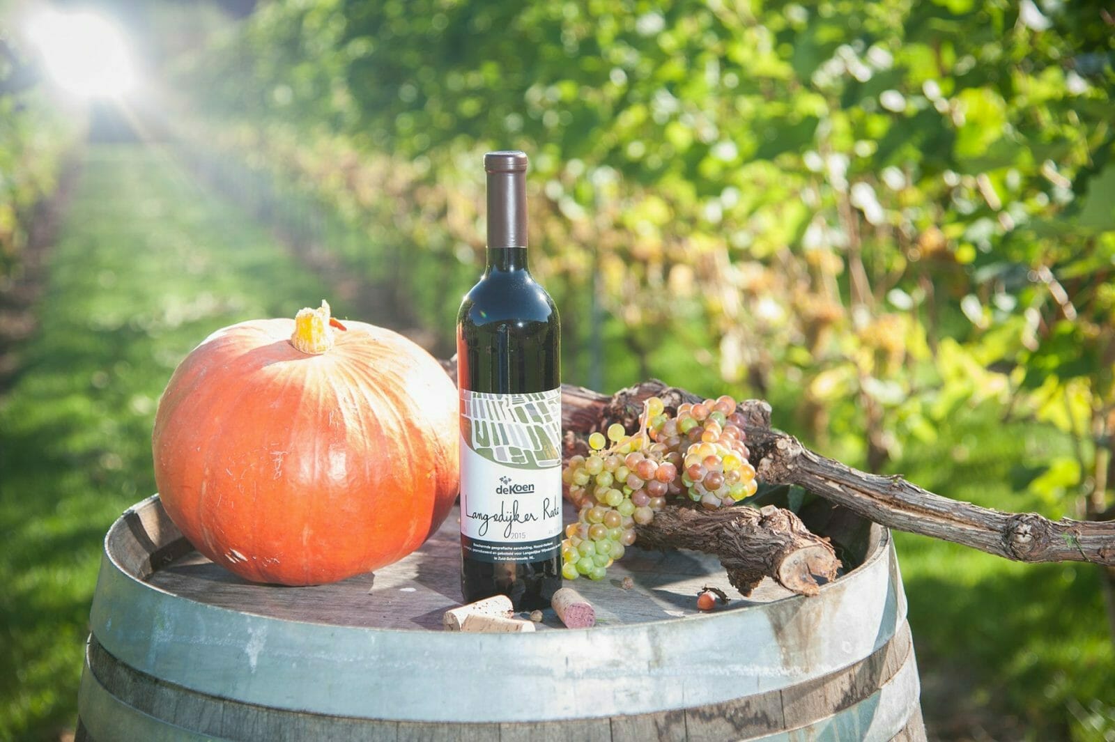 De beste wijngaard van Nederland staat in Zuid-Scharwoude