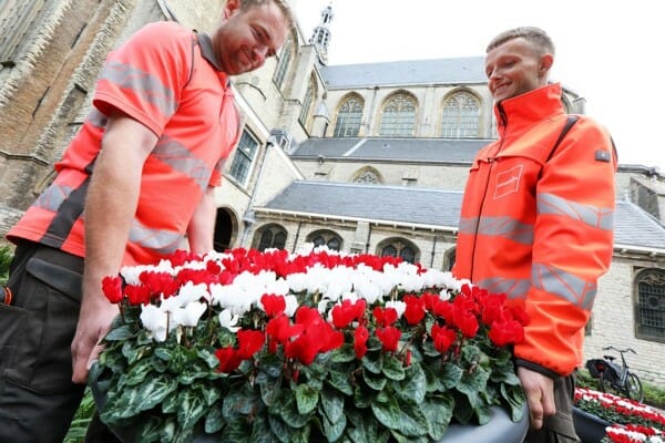 Alkmaar kleurt rood-wit