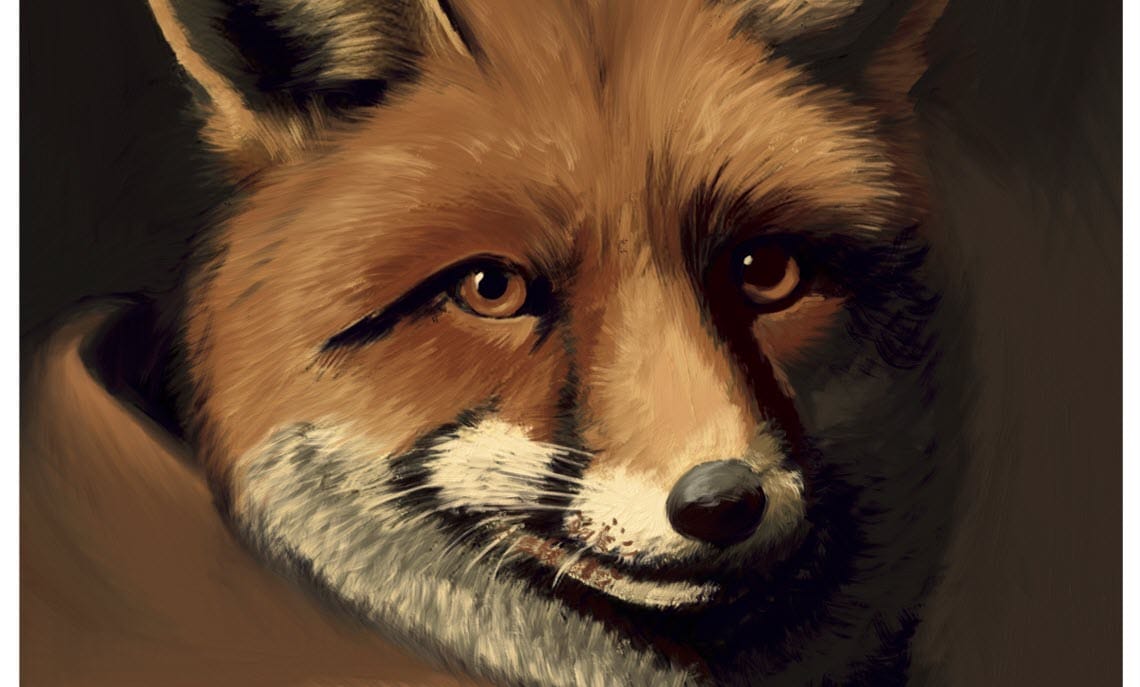 Kerst met Reynaert in Alkmaar