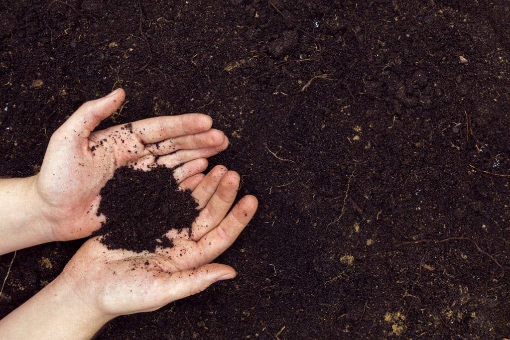 Gratis compost voor inwoners op zaterdag 23 maart