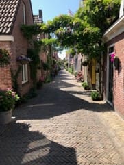 Doe ook mee met de Geveltuintjeswedstrijd 2024!