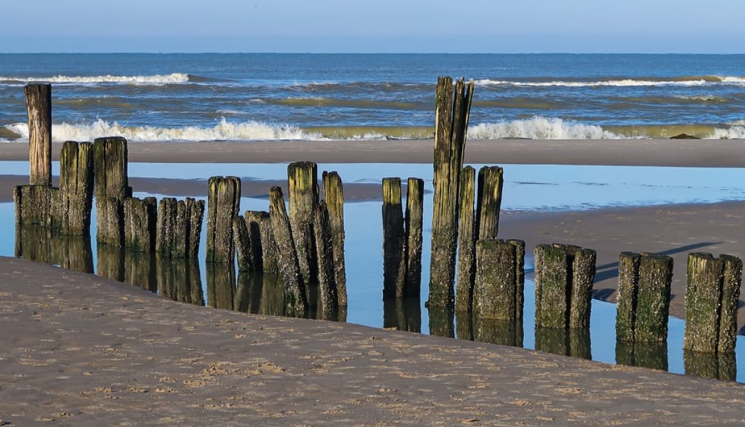 VVAO Lezing: Ivo Smits