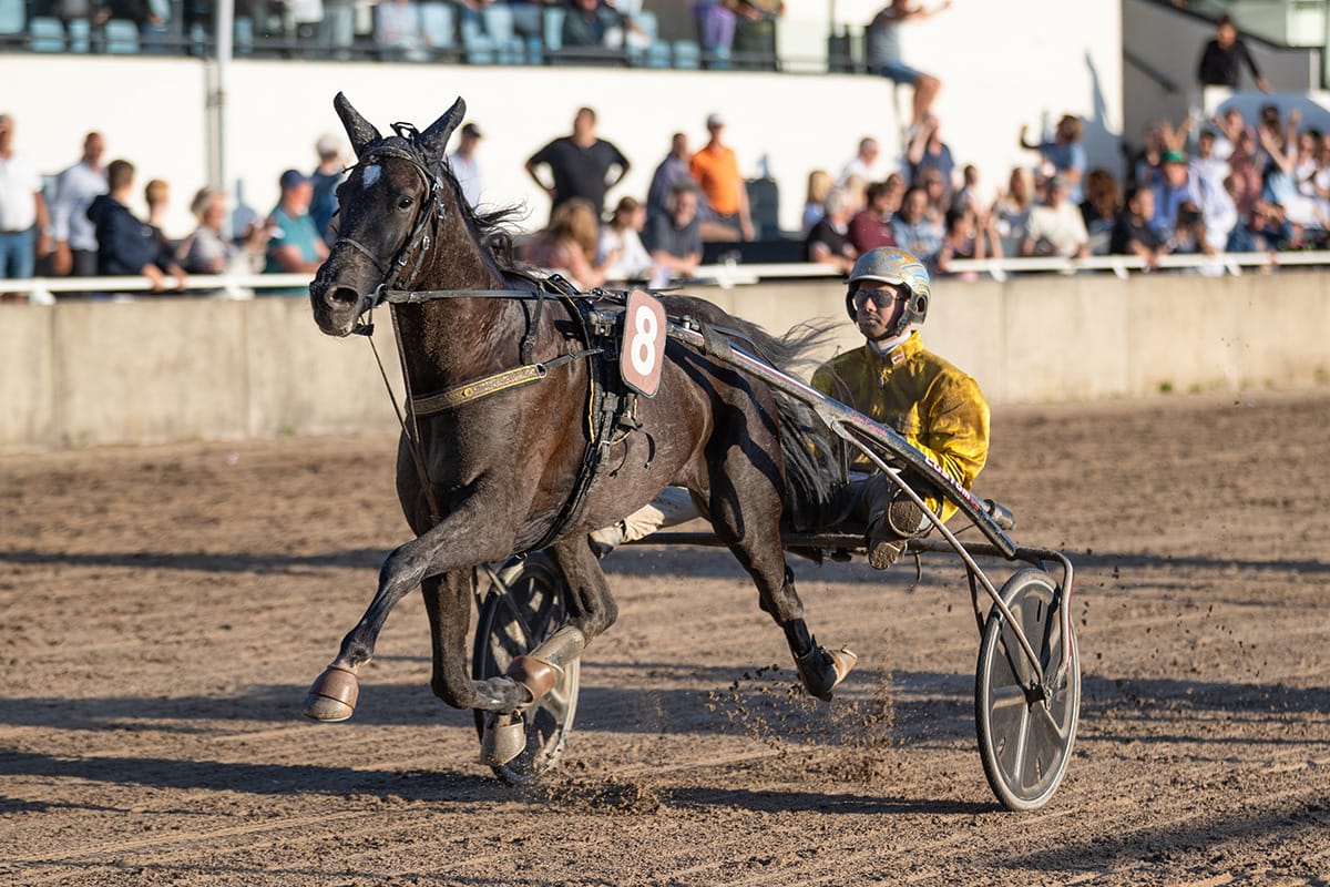 Vrijdagavond 3 Mei: DE NACHT VAN ALKMAAR