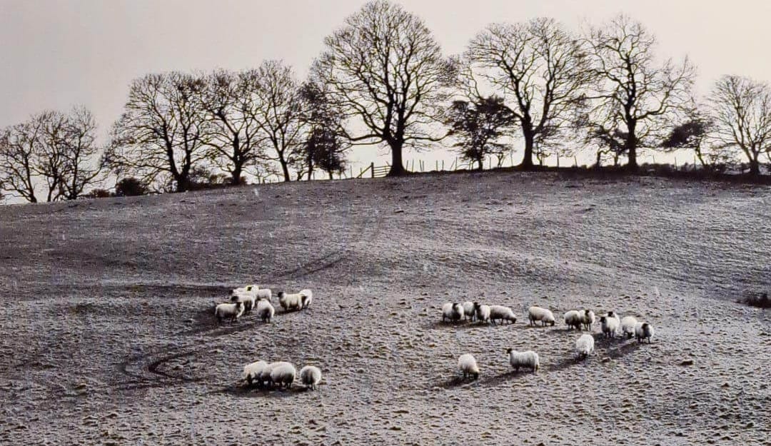 Twee gezichten van landschap