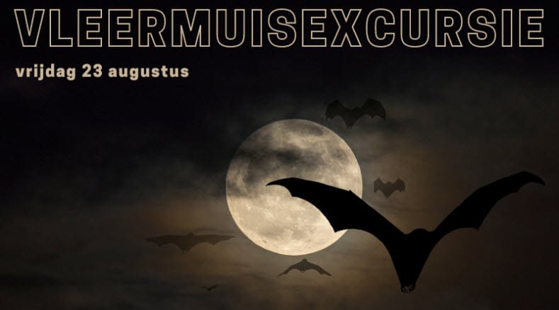 Vleermuisexcursie