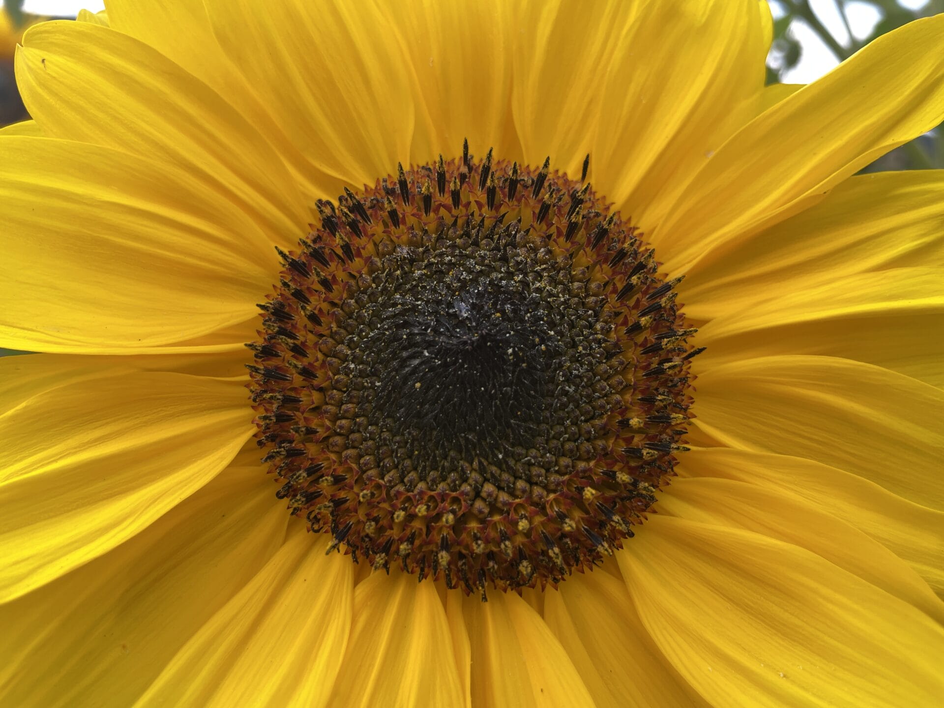 Oproep: 3.000 foto’s gezocht voor videoclip Bubbels