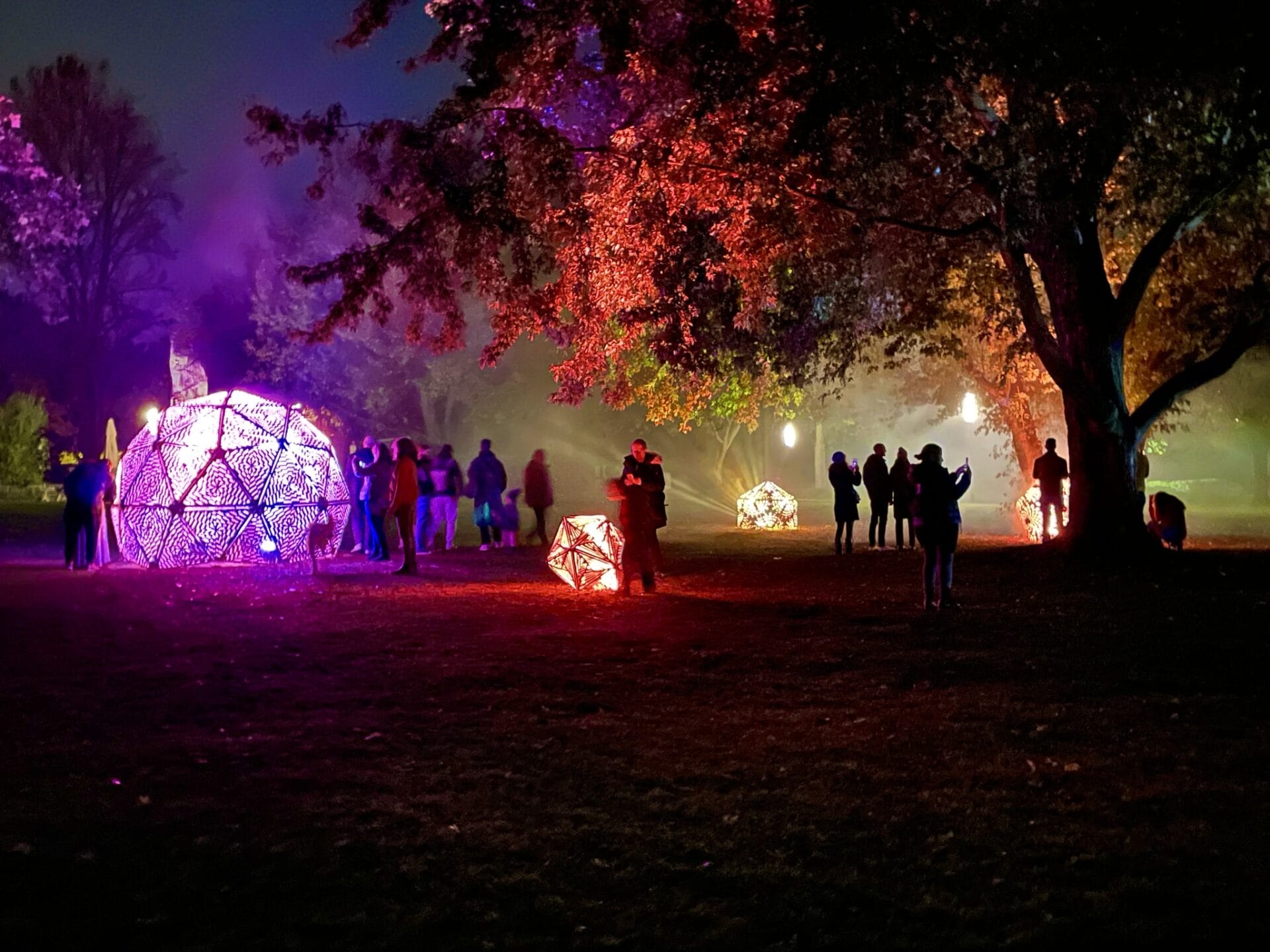 Alkmaar Light Festival