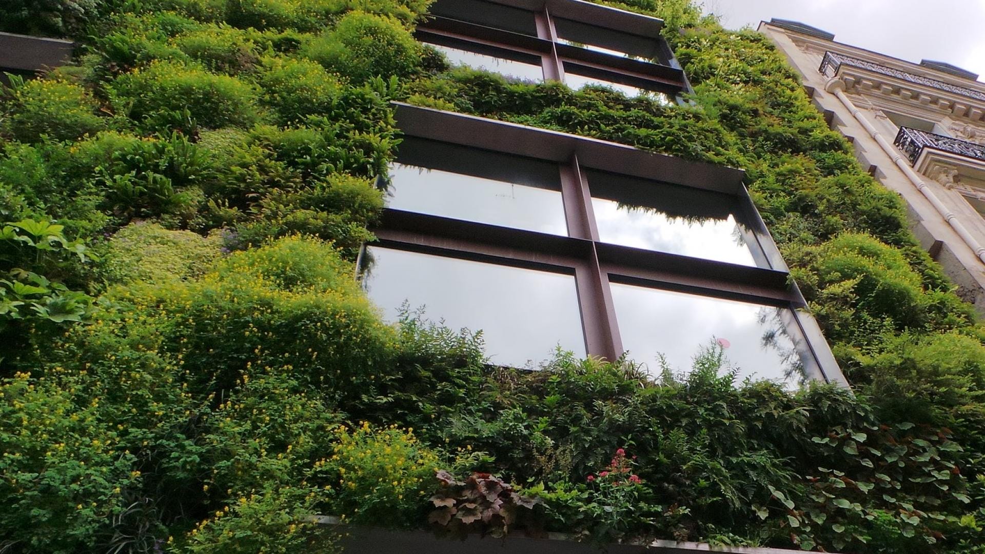 Natuurinclusief bouwen: Alkmaar bouwt aan biodiversiteit