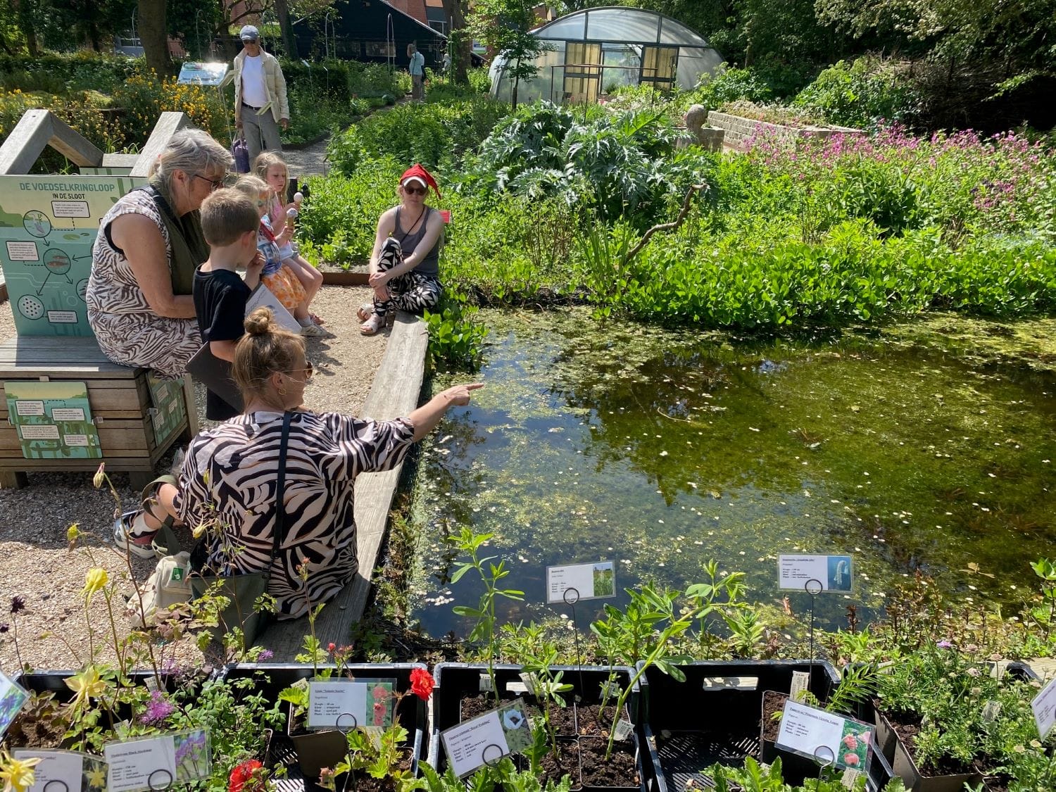 Beleef de lente in volle glorie bij Hortus Alkmaar