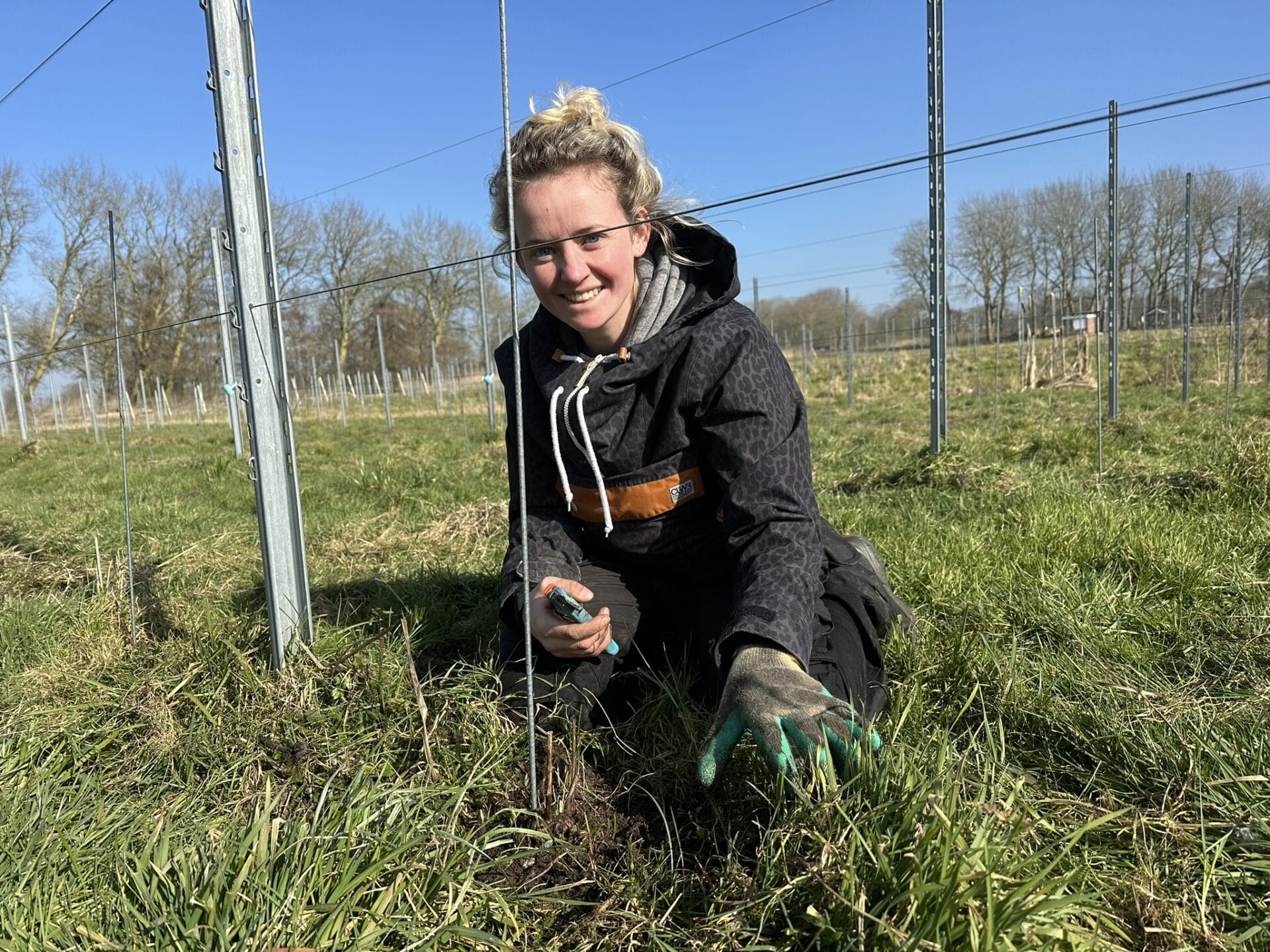 Vrijwilliger worden op de Wijngaard?