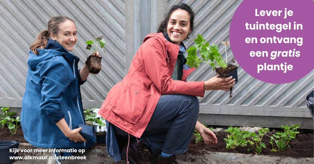 Alkmaar strijdt mee in het NK Tegelwippen 2025