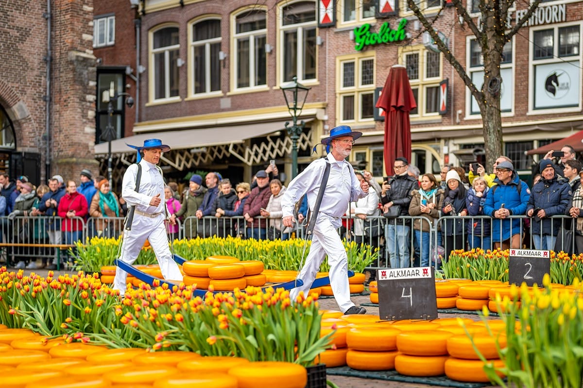 Tulpenkaasmarkt