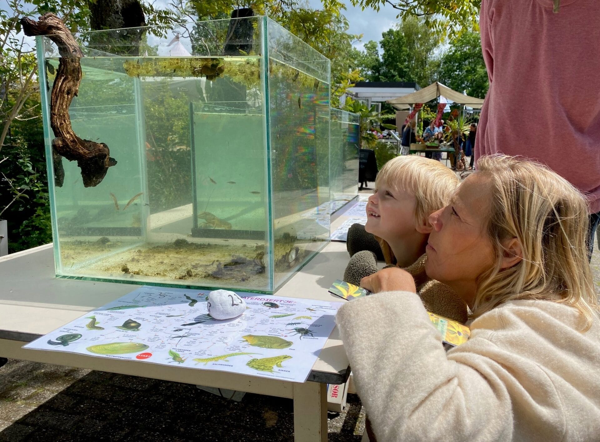 Beestjesdag in Hortus Alkmaar