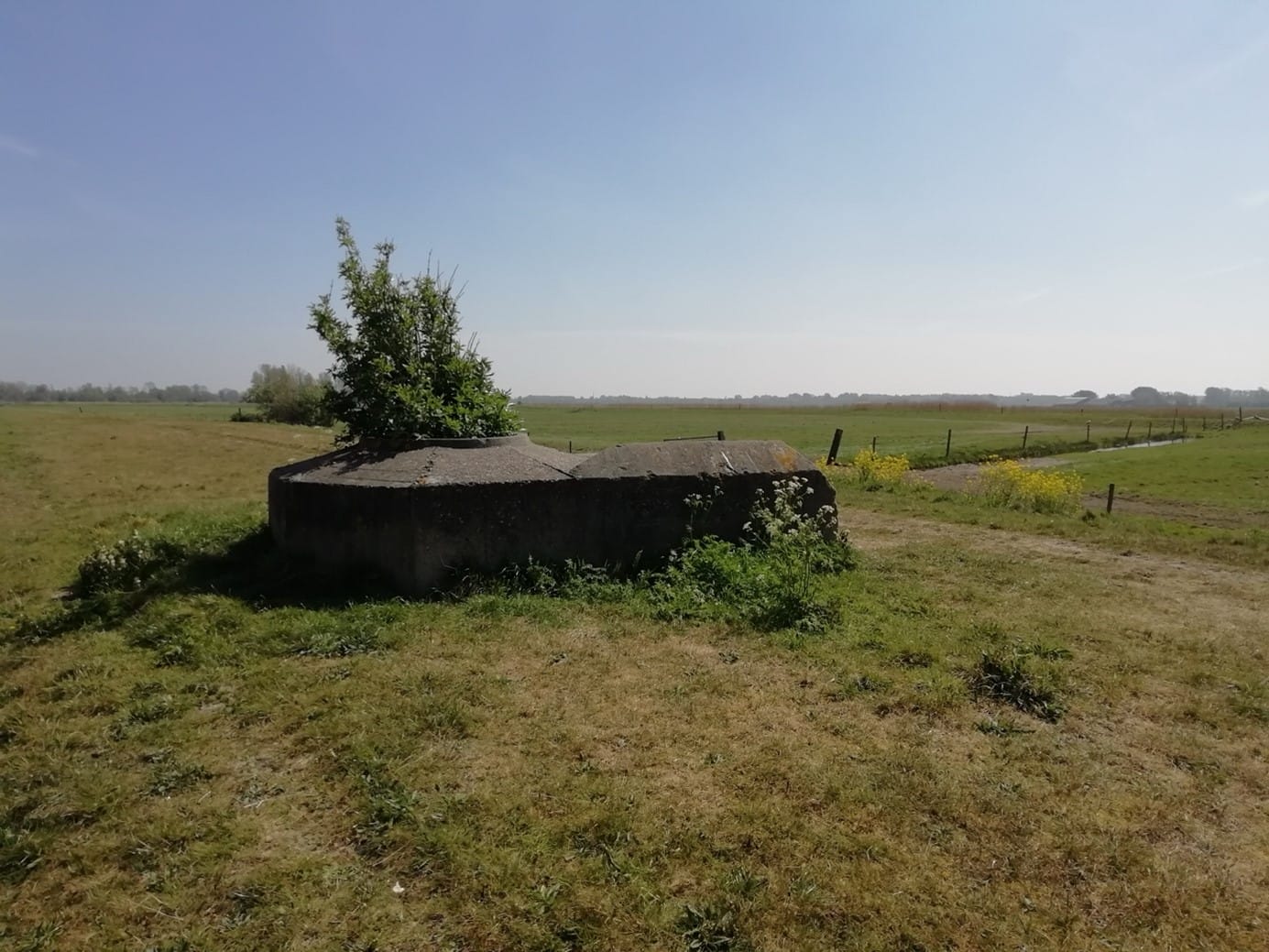 Poëzie als spiegel van vrijheid