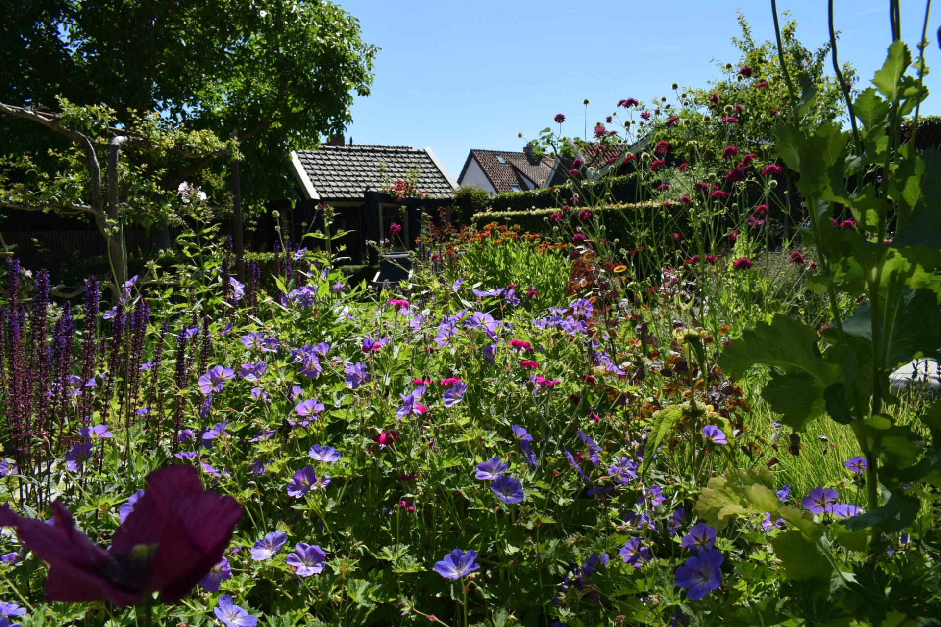 Ontdek de mooiste tuinen van Noord-Holland