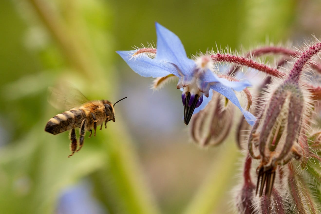 Leg de natuur vast in beeld én win!