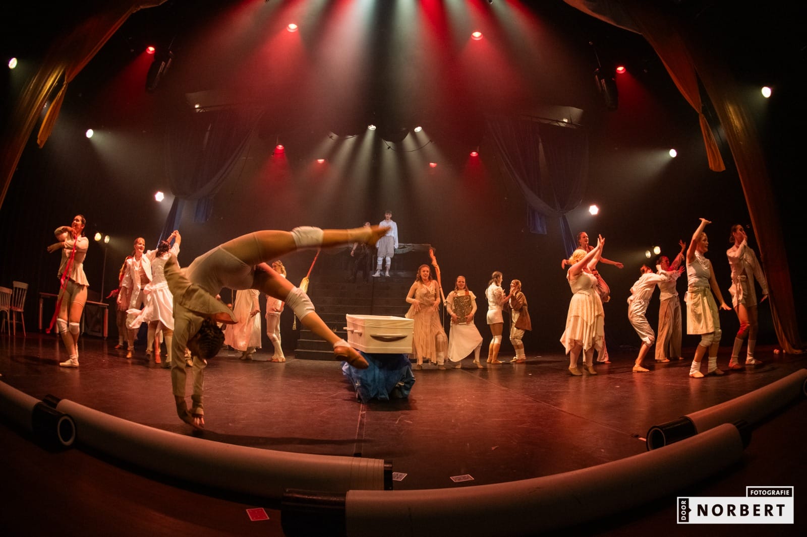 De Gelaarsde Poes in De Vest